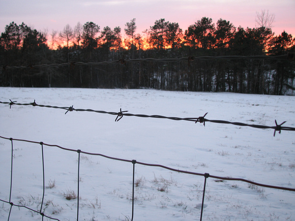 Barbwire Sunset along Scenic Highway 7