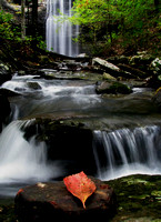 Fall Color at Cornelius Falls