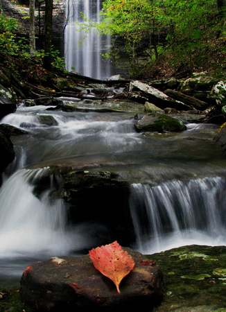 Fall Color at Cornelius Falls