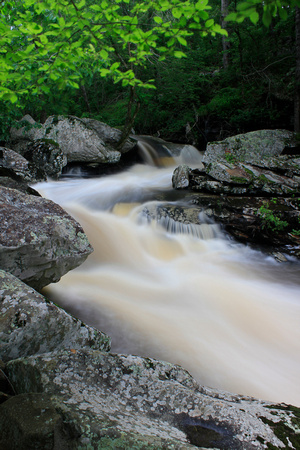 Upstream of Cedar Falls