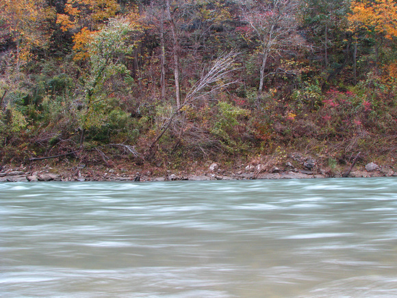 Buffalo River at Tyler Bend - Fall Color