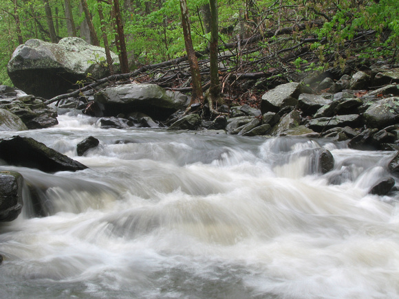 Downstream at Cedar Creek