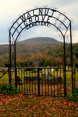 Fall at Walnut Grove Cemetery