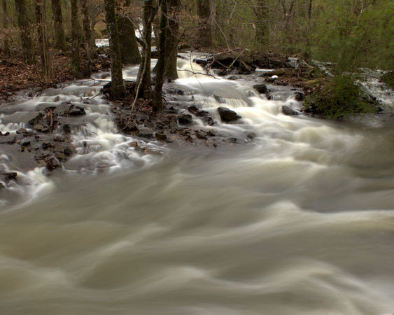 Converging Creeks at Woolly Hollow