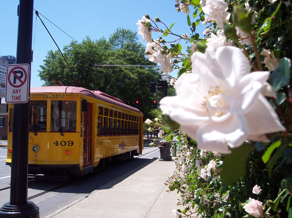 Rosy Day for the Trolley