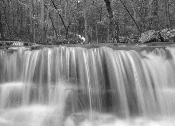 Middle of Collins Creek - Black and White
