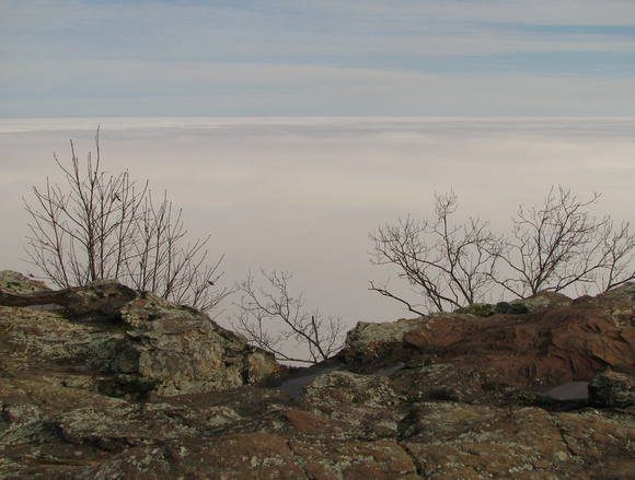 Blanket of Fog atop Petit Jean Mountain
