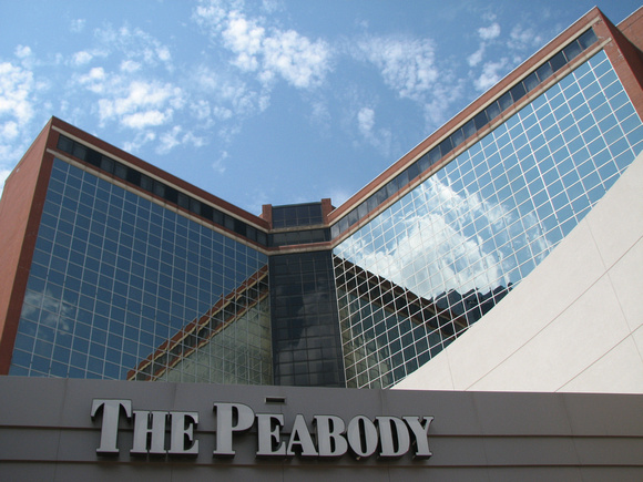 Looking Up at The Peabody
