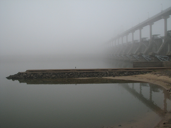 Big Dam Fog with Egret