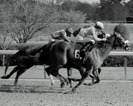 Opening Day at Oaklawn