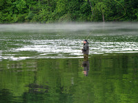 Fly Fishing on Lake Taneycomo